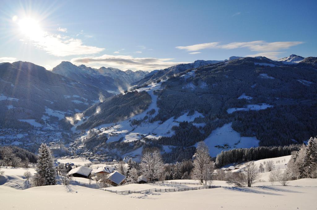 Appartement Schattauer Wagrain Luaran gambar